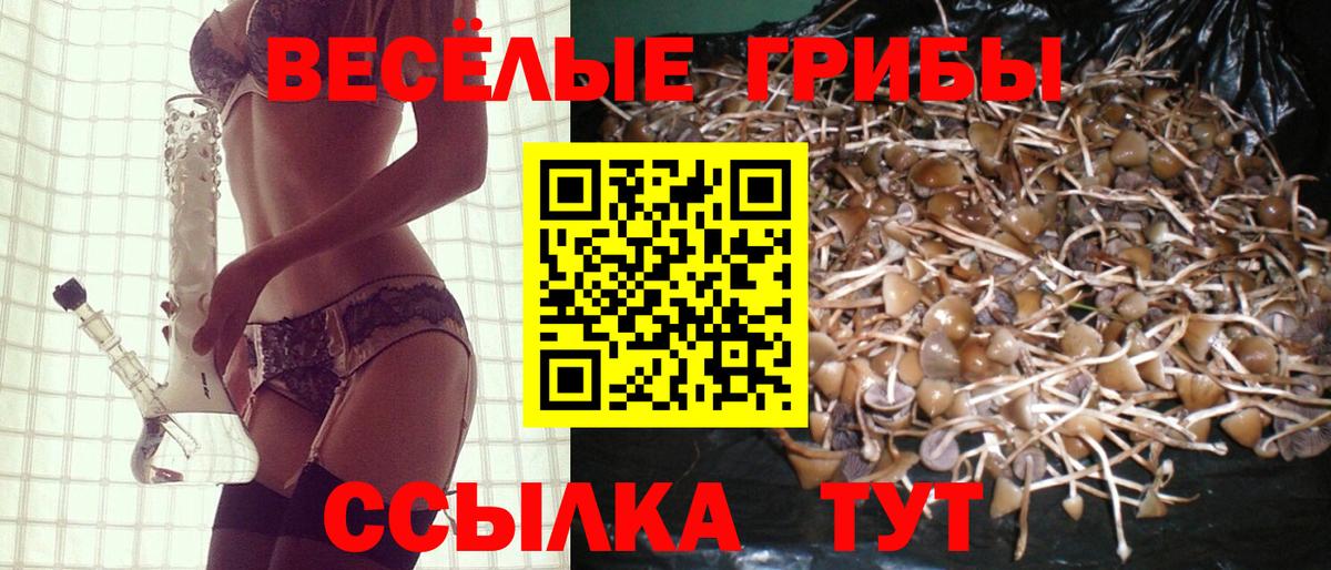 А ПВП СОЛЬ кристаллы  Александров  Cocaine  Вход с VPN  МЕФ   ГАШИШ 
