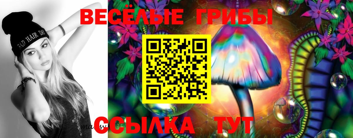 Псилоцибиновые грибы прущие грибы  Вход с VPN  Александров 